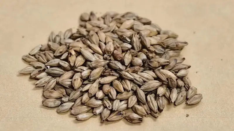 这款消食化积的养生茶组合 饭后喝快速缓解油腻胀肚问题