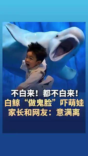 不白来！都不白来！#白鲸“做鬼脸”吓萌娃 家长和网友：意满离
