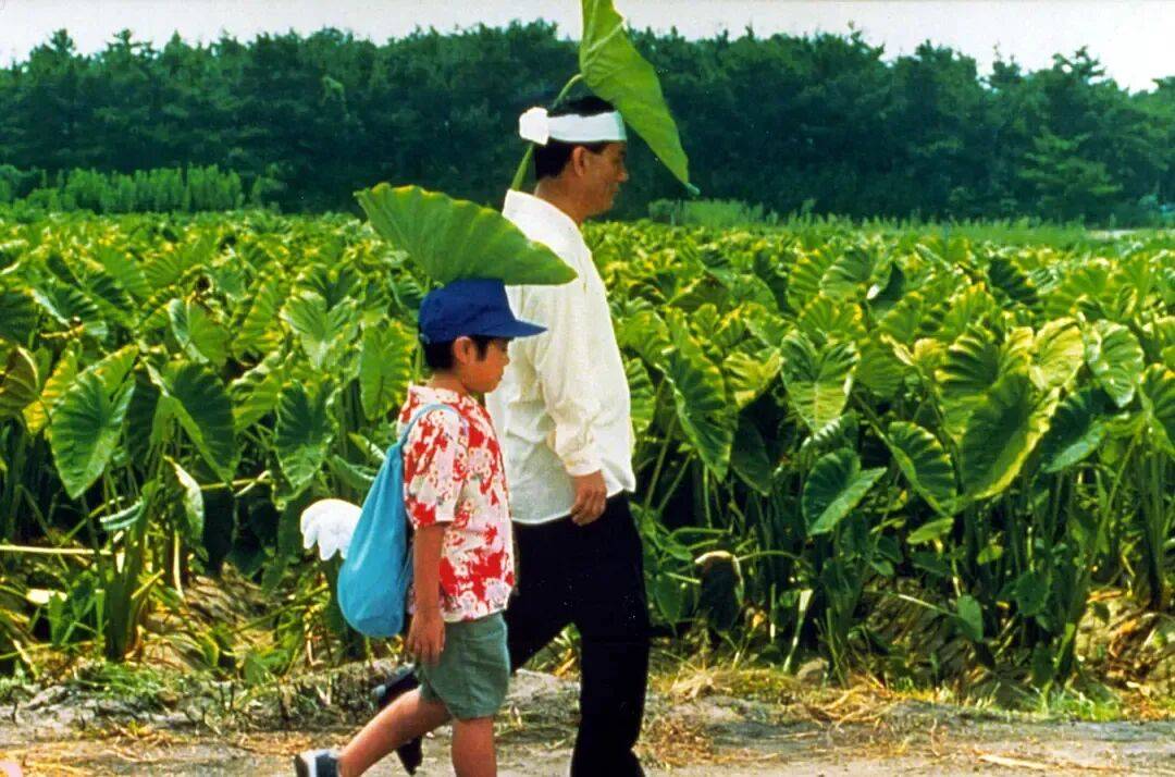 如果你需要给自己一个海岛假日
