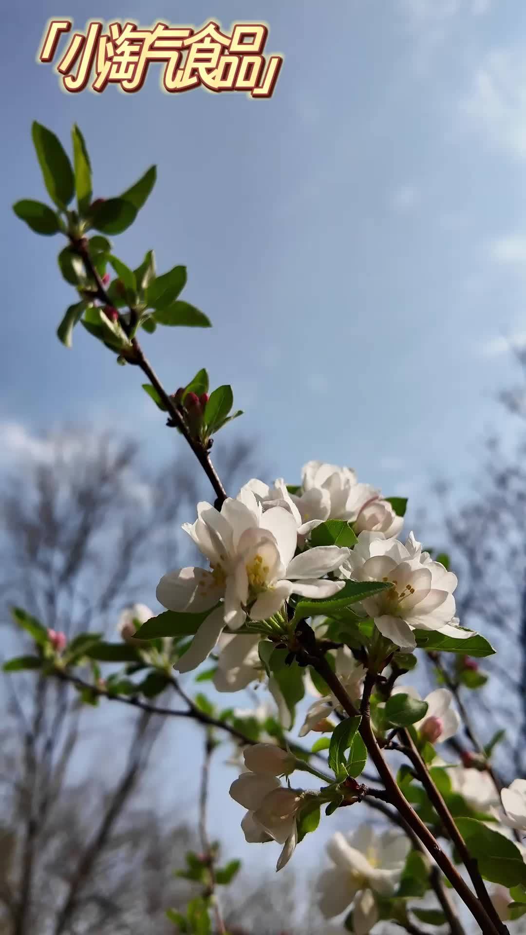 果然好吃的零食连小朋友都无法抗拒～#香酥玉米#米老虎香酥玉米