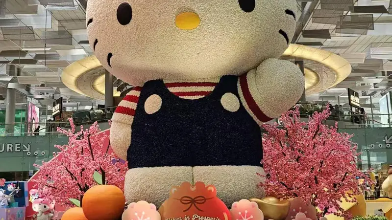 旺季大考:文化节游客在行程临时调整能力上的真实表现与行业反思