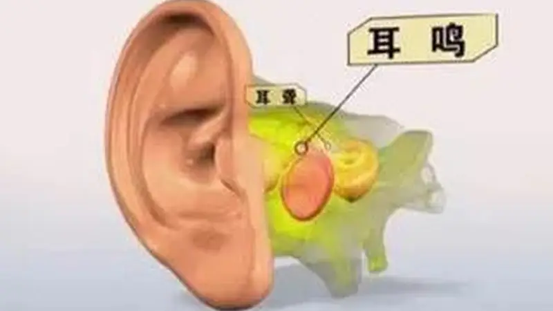 腰果的营养价值？