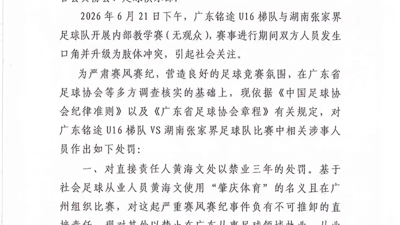14岁小球员遭张家界足球队殴打,广东足协、湖南足协:多人被处罚