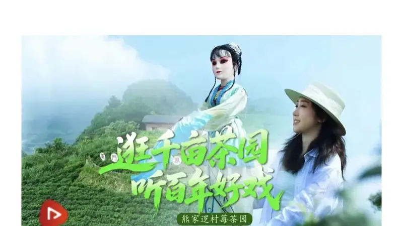 获央视网推介！永定区这几个莓茶园热度爆棚