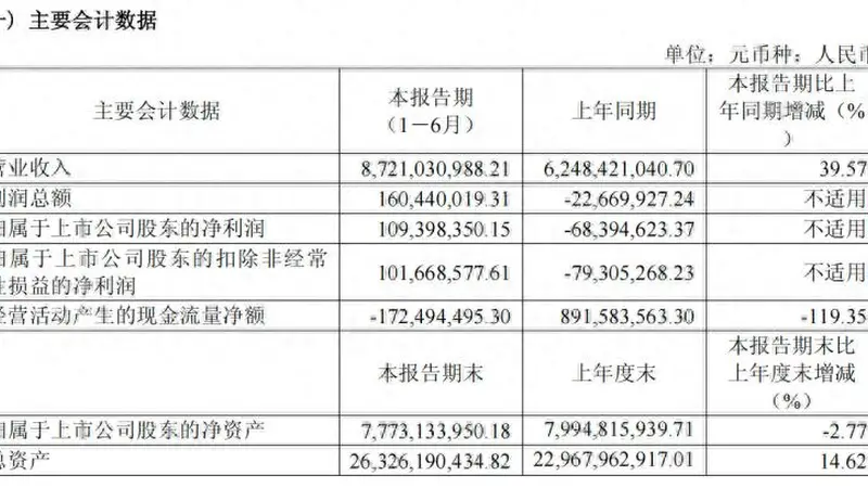 容百科技上半年扭亏为盈 营业现金流净额降119.35%