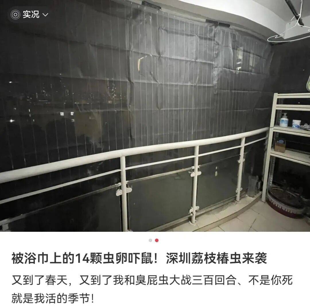 男子一觉醒来枕巾长“多肉” ，随手一捏吓得把枕巾丢了