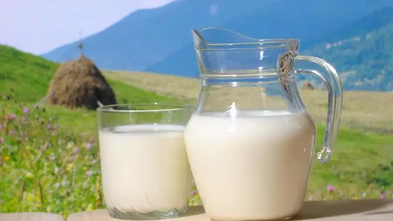 胃不好的人请注意:牛奶之外,这四种食物也需谨慎摄入,早知早安心