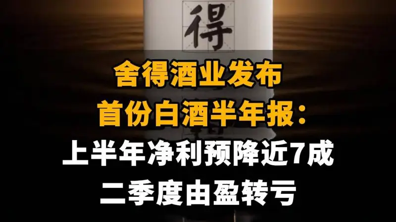 【舍得酒业发布首份白酒半年报：上半年净利预降近7成，二季度由盈转亏】