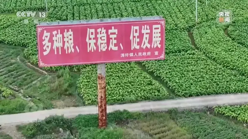 央视曝光：湖南江华县、镇、村三级应付检查，赤裸裸造假