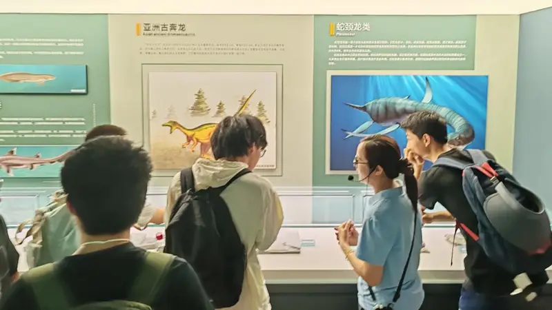 师生走进沙坪坝地质博物馆探秘山城地质