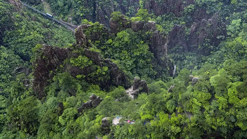 黄山夏日美景:森林洋溢、云海仙境、日出日落天幕