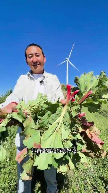 张北草原天路东线桦皮岭润萍农家院包吃包住管三餐院内可以篝火晚会烤全羊！#张北草原天路#