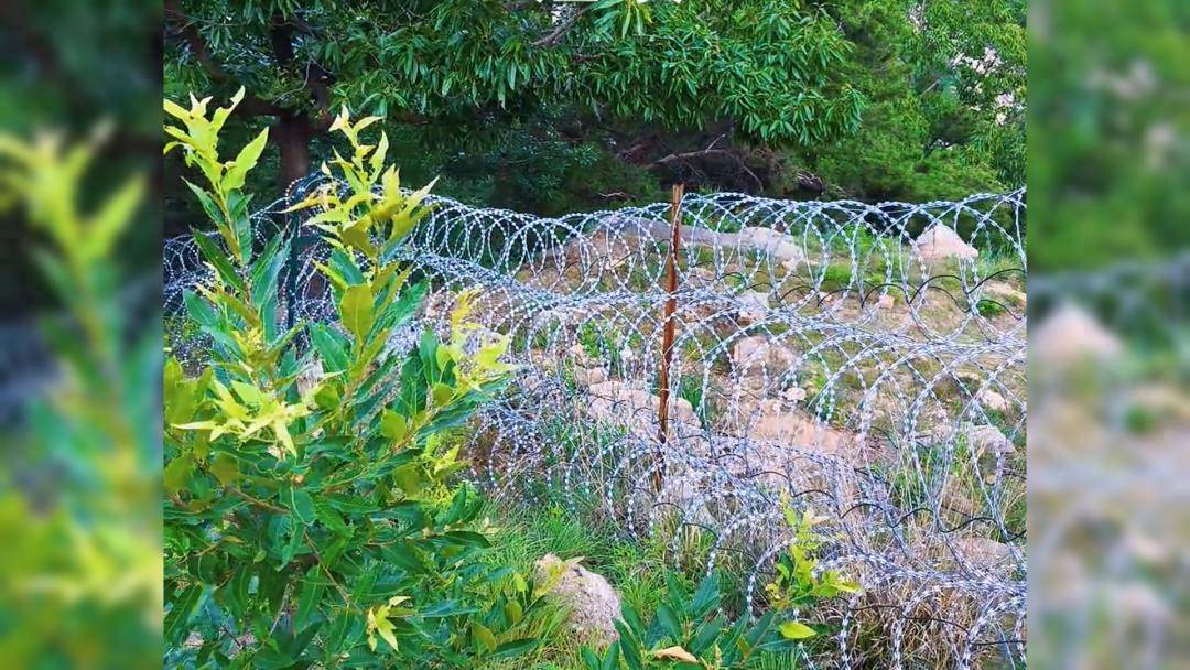 泰山景区：设刀片刺网是为保护驴友