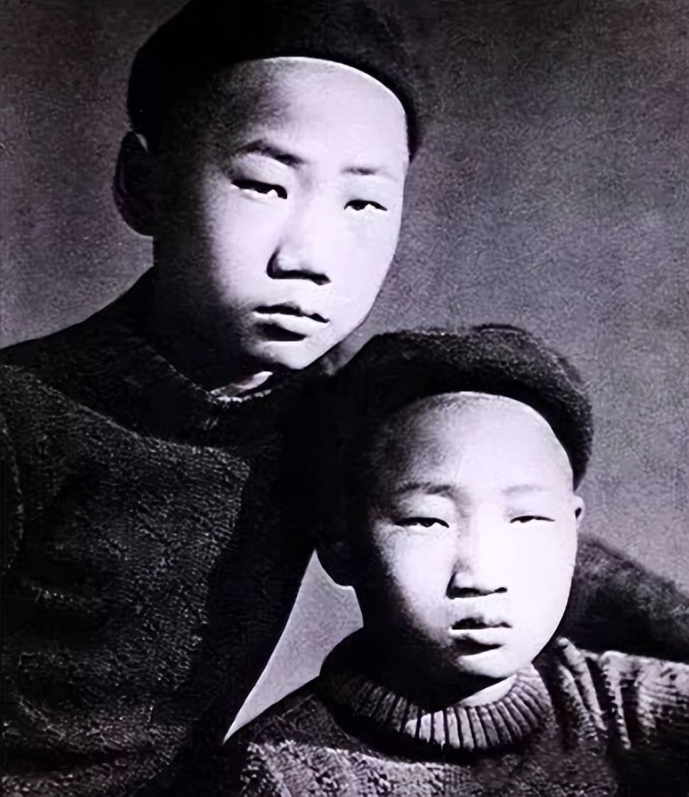贺子珍得知岸英牺牲，为何痛哭质问："他也是我的儿子？"