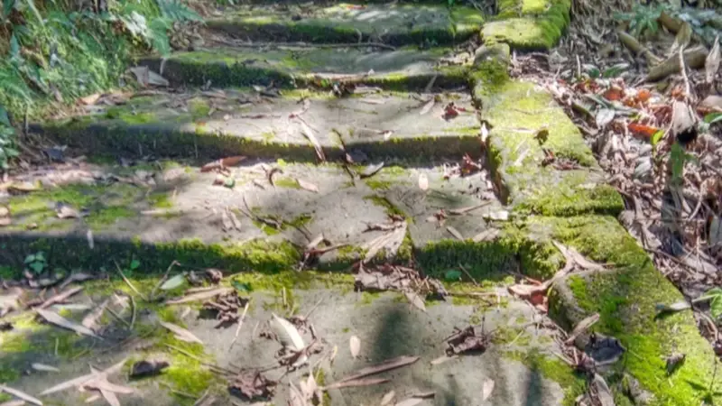 踏行千年茶马古道,感受立体景观与原生村落风情