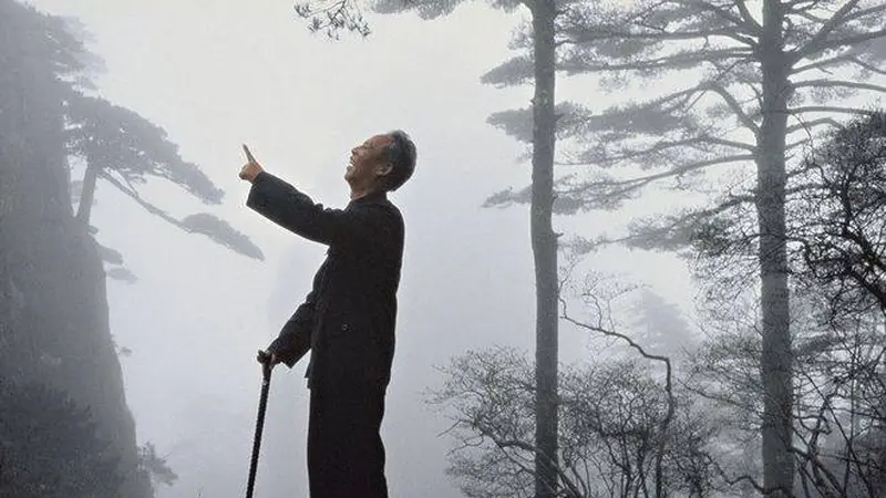 ：法国摄影师镜头下的黄山仙境：中山装老者与云海奇松的对话