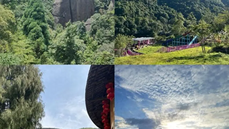 快节奏生活太疲惫?一杯陈年岩茶,道尽人生沉淀的大智慧