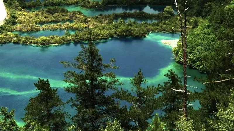 暑期避暑入境游“热”起来 川西多个景区入境游热度持续攀升