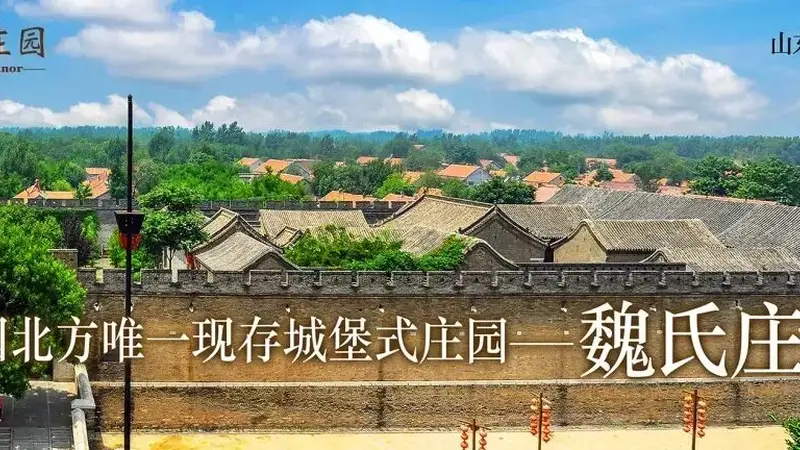 发现宝藏山东 | 暑假必游!探寻课本之外的智慧之旅