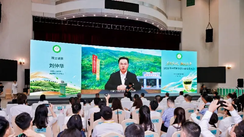 新茶饮市场规模将破3700亿,潮州饶平单丛产业引来新机遇