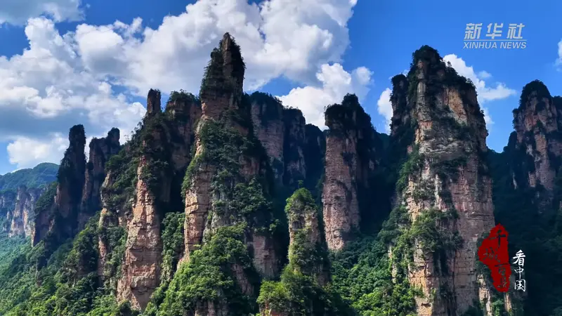 千城百县看中国|张家界金鞭溪:暑期“天然空调房”迎客超34万