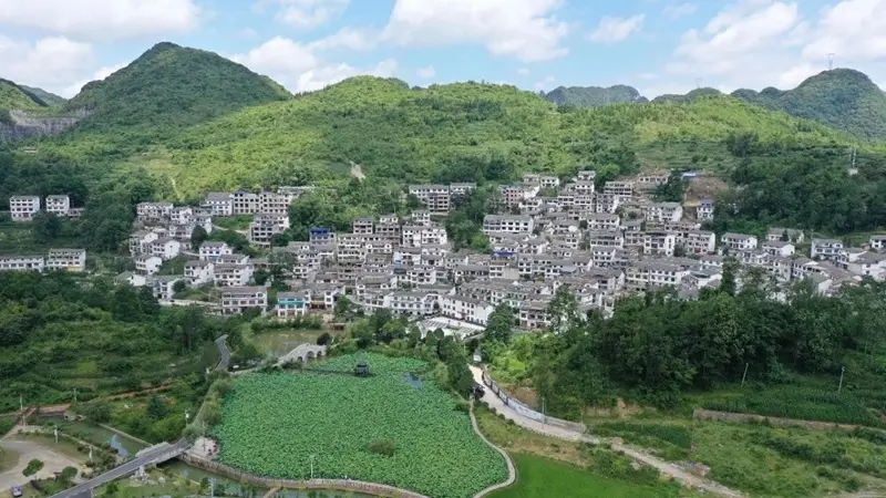 龙宫镇桃子村打造旅居新模式 双认证加持21℃清凉热引客长住