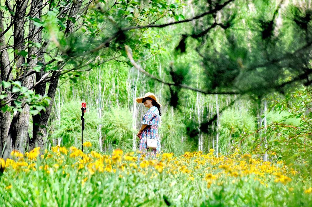 逛知青公园 赏夏日美景