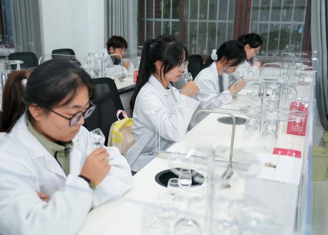 茅台学院的“品酒尖兵”是怎样练成的