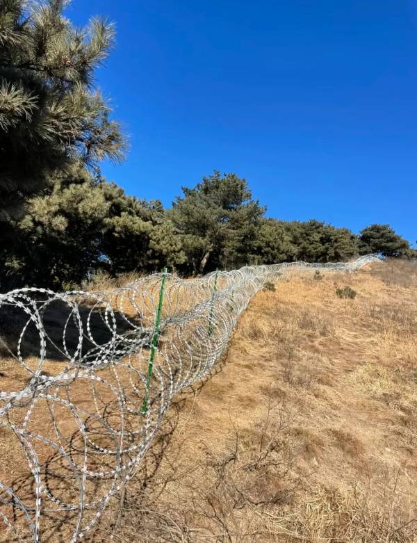 泰山景区回应“135公里刀片铁丝网”：与正常游览路线不交叉、不重叠