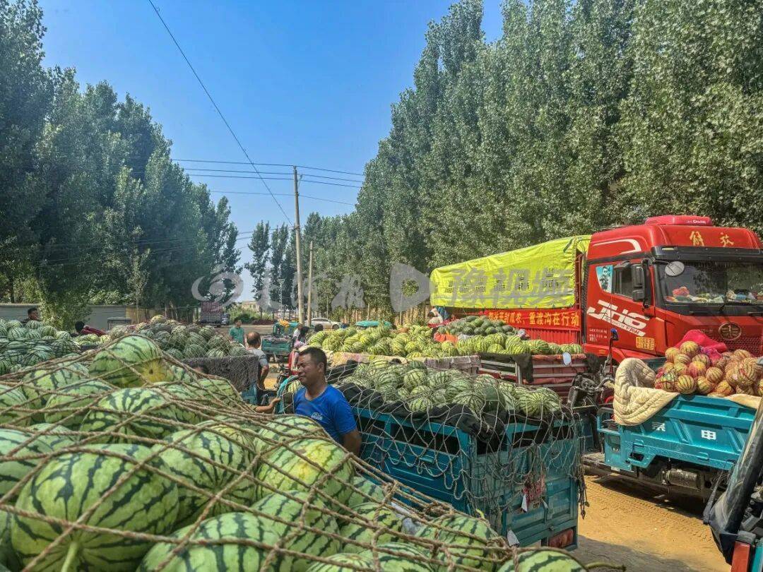 河南一景区按双倍市场价收购近100吨西瓜，免费送游客品尝