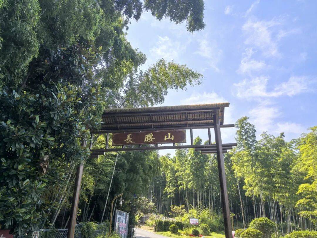 长腰山古桃园景观步道，焕新开放！