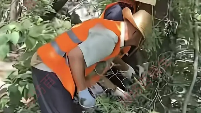 泰山景区天外村被曝已开始拆除铁丝网,网友:还是听劝的