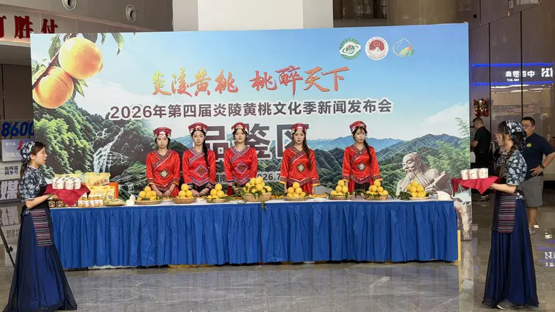 2026年第四届炎陵黄桃文化季启幕:避暑康养、文旅融合,全国考生免票畅游