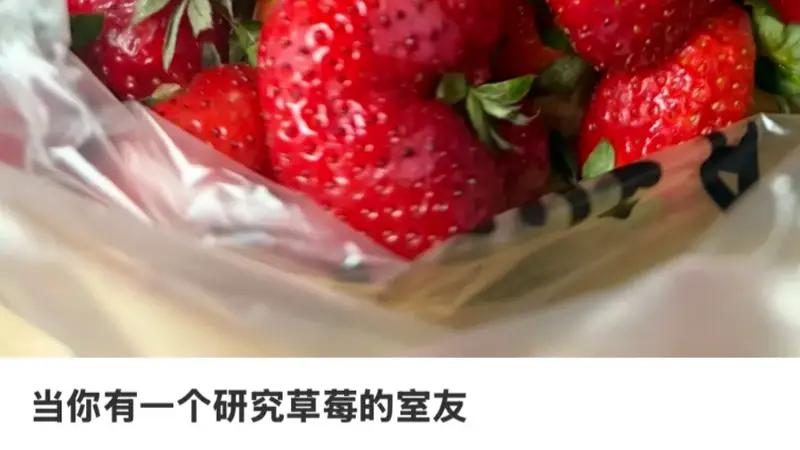 农学生培育新奇草莓品种收获满满，网友直呼“草莓自由”