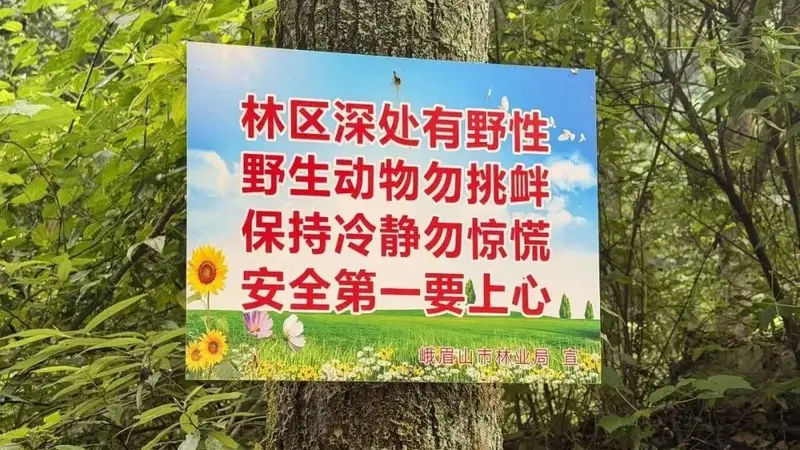 峨眉山野景点探险风险警示
