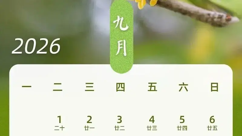 拼3天假得13天：中秋国庆组合拳引爆网友热情