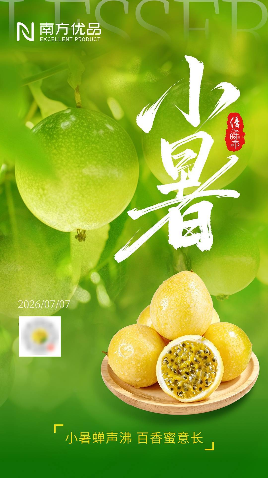 优·时节 | 小暑蝉声沸 百香蜜意长